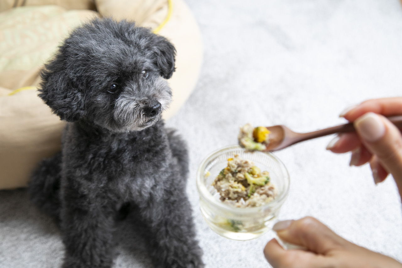 スライドショーイメージ01