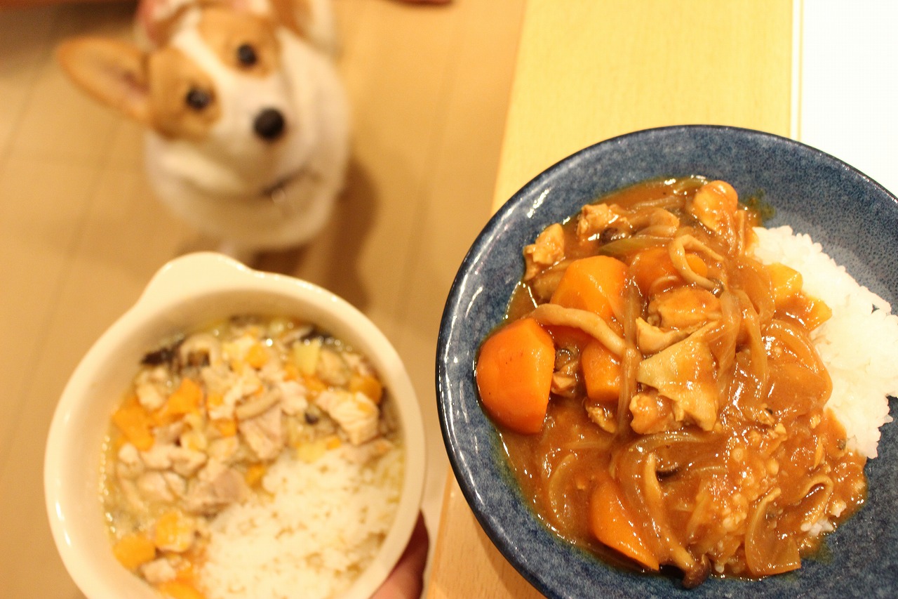 スライドショーイメージ03