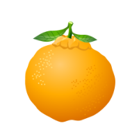 ナビ用オレンジ画像