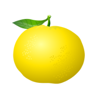 ナビ用オレンジ画像