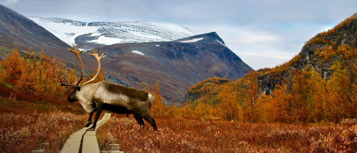 秋メインイメージ