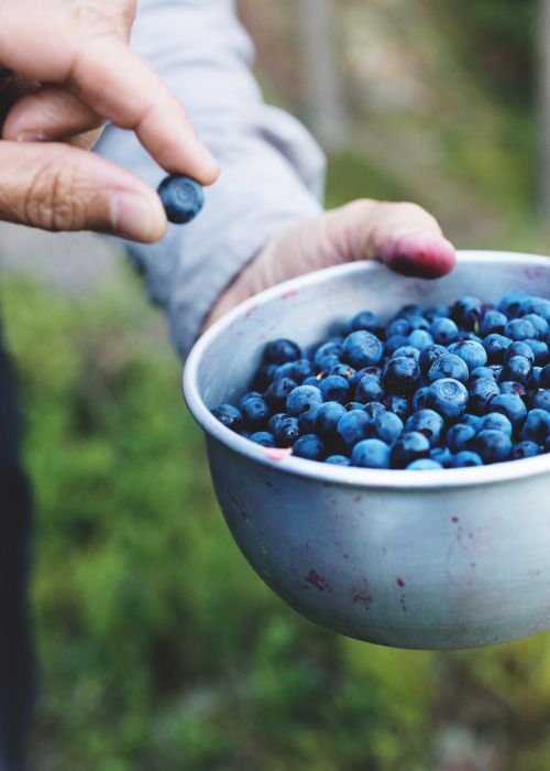 スウェーデンの秋イメージ03
