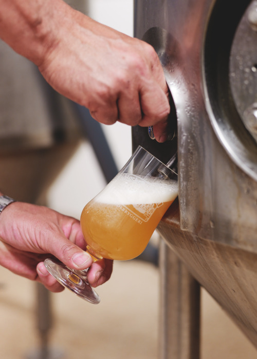 ビールイメージ02