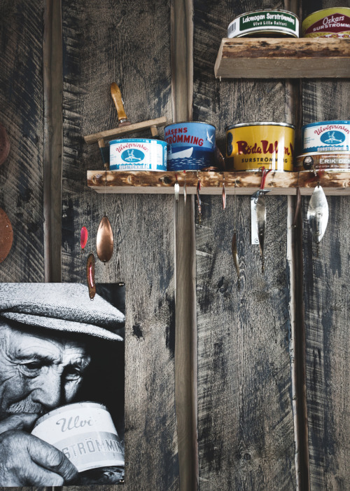 シュールストレミング01