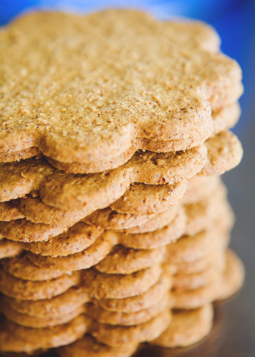 ジンジャークッキーイメージ03