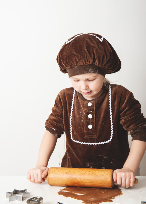 ジンジャークッキーイメージ05