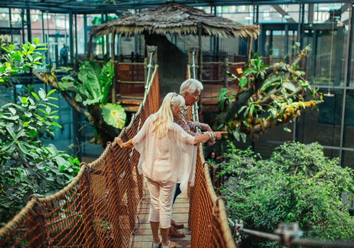 ユニバーシウムイメージ01