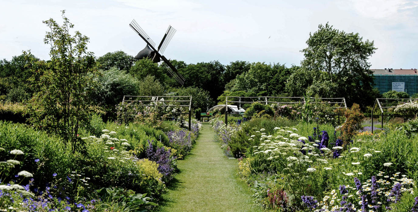 スロットストラドゴーダンイメージ01