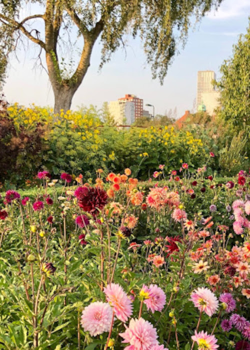 スロットストラドゴーダンイメージ02