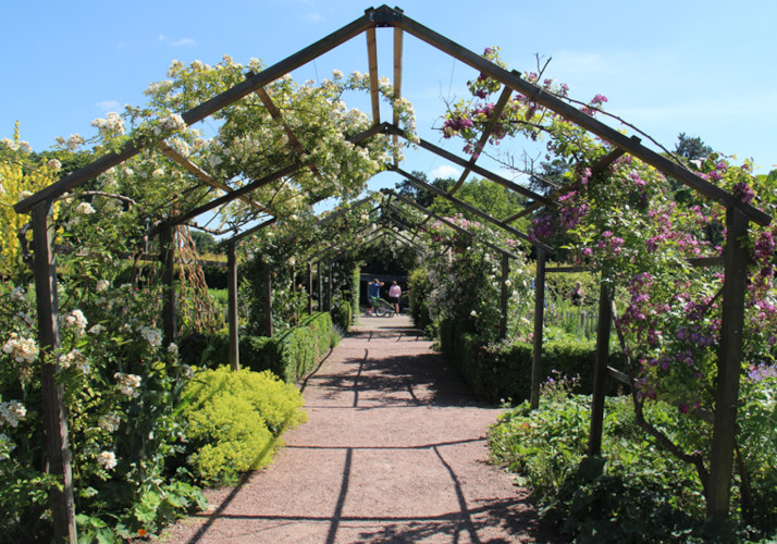 スロットストラドゴーダンイメージ03