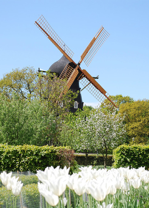 スロットストラドゴーダンイメージ04