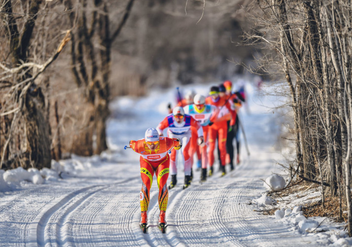 ヴァーサロッペットイメージ01