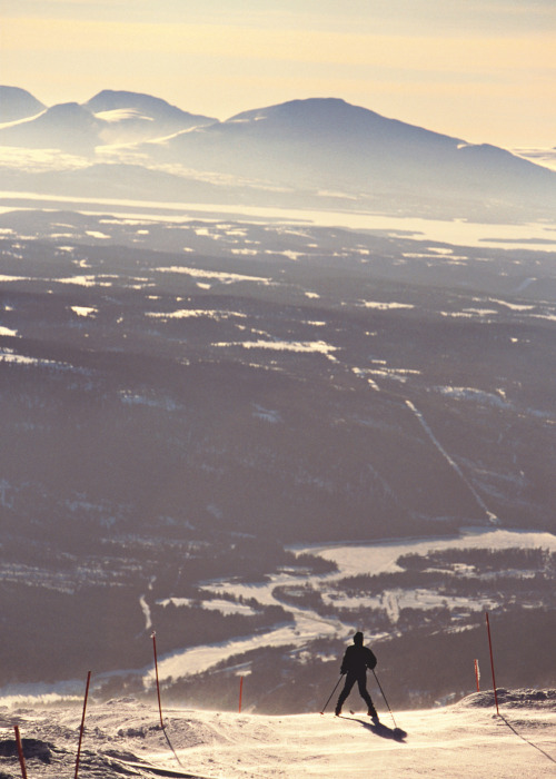 北エリアイメージ03