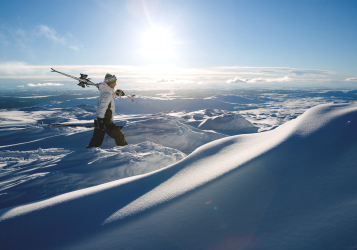 北エリアイメージ04