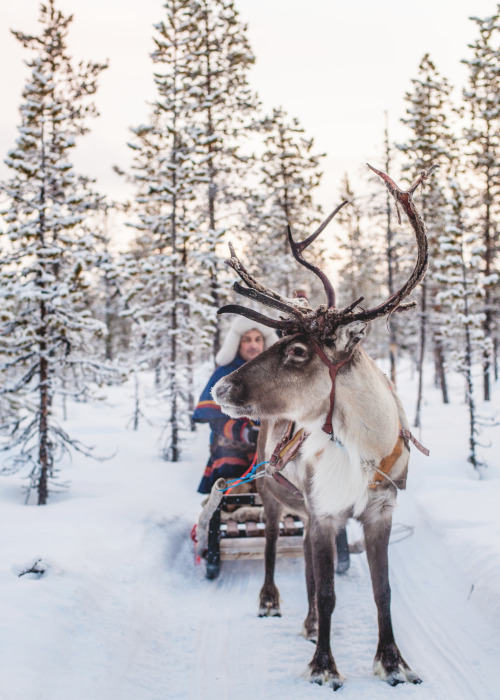 北エリアイメージ05