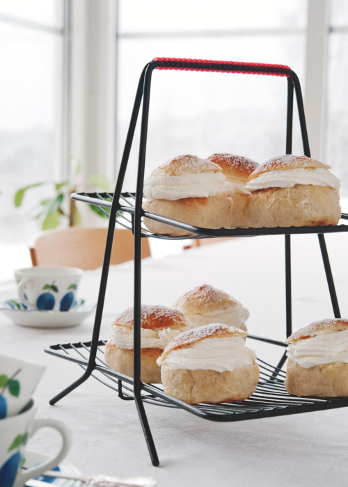 セムライメージ03