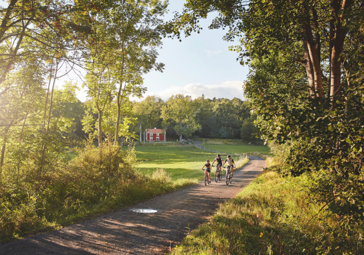 スモーランドイメージ02