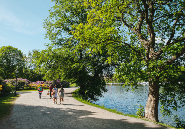 ユールゴールデン島イメージ03