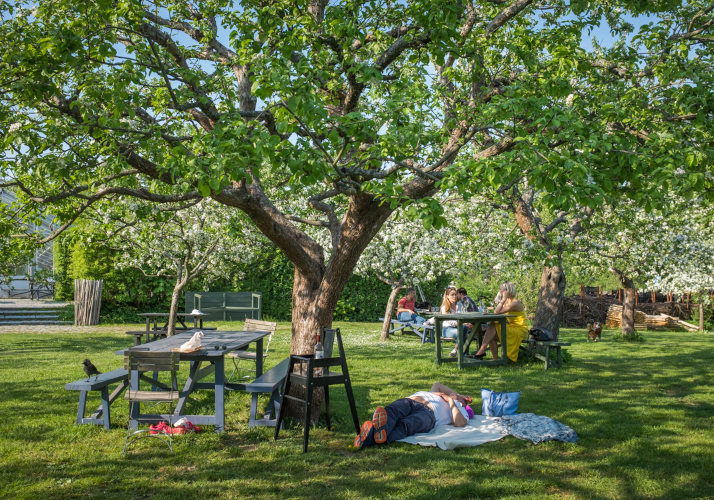 ユールゴールデン島イメージ02