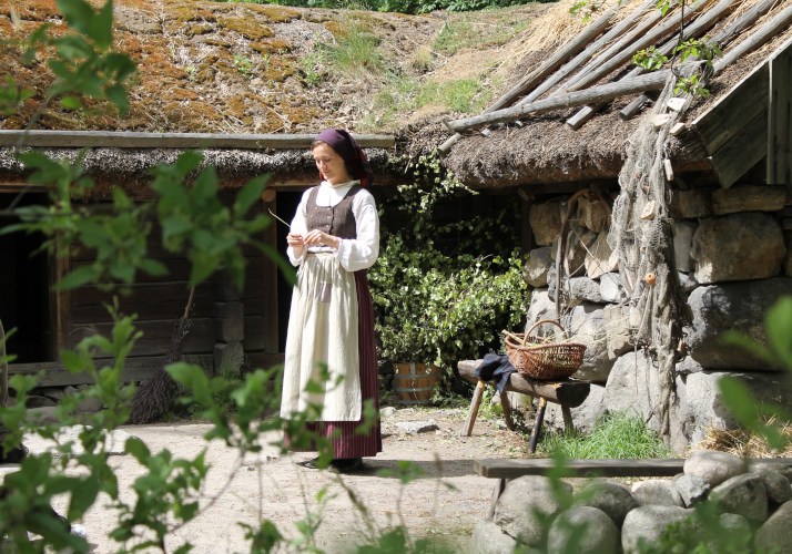 スカンセンイメージ02