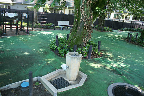 目白台運動公園(わんわん広場）