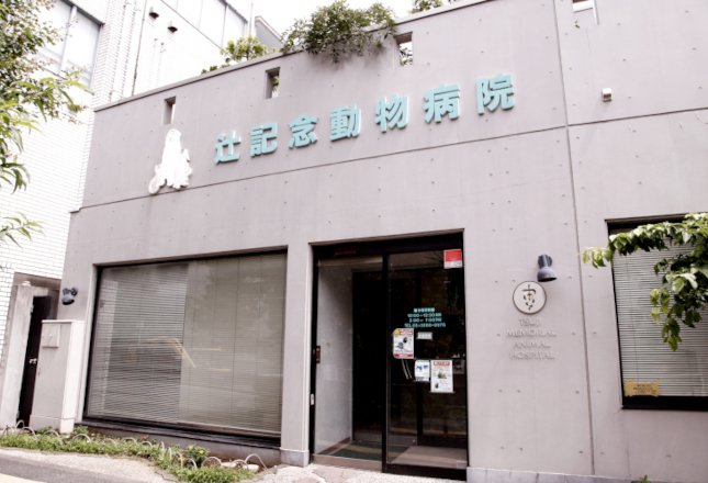 辻記念動物病院