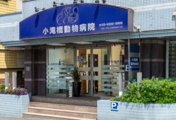 小滝橋動物病院