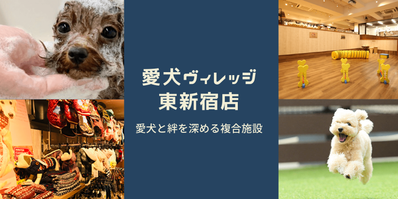 愛犬の為の楽園